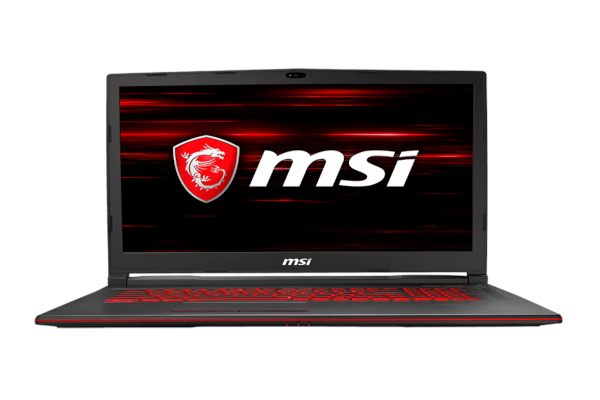 2019 MSI Model GL73 9RCX Gaming Laptop